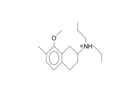 (.+-.)-8-Methoxy-7-methyl-N,N-dipropyl-1,2,3,4-tetrahydro-naphthalen-2-ylammonium cation