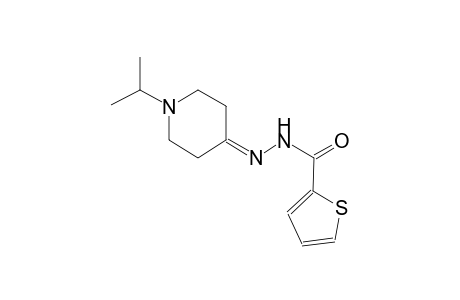 N'-(1-isopropyl-4-piperidinylidene)-2-thiophenecarbohydrazide