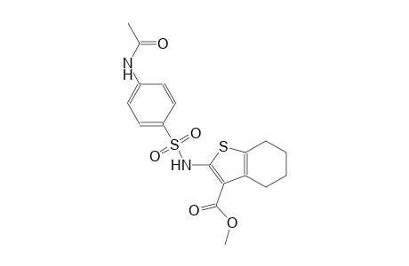 methyl 2-({[4-(acetylamino)phenyl]sulfonyl}amino)-4,5,6,7-tetrahydro-1-benzothiophene-3-carboxylate