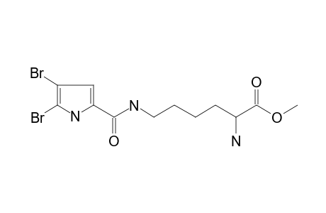 2-amino-6-[(4,5-dibromo1H-pyrrole-2-carbonyl)amino]hexanoic acid methyl ester