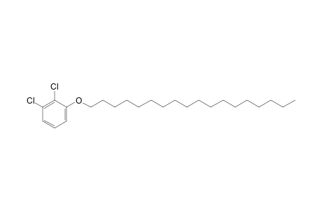 2,3-Dichlorophenyl octadecyl ether