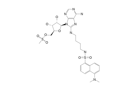 8-AMINO-[1''-(N''-DANSYL)-4''-AMINOBUTYL]-5'-O-MESYLADENOSINE