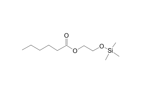 2-hydroxyethyl hexanoate, TMS derivative