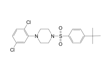 1-(4-Tert-butylphenyl)sulfonyl-4-(2,5-dichlorophenyl)piperazine