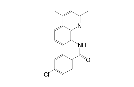 4-chloro-N-(2,4-dimethyl-8-quinolinyl)benzamide