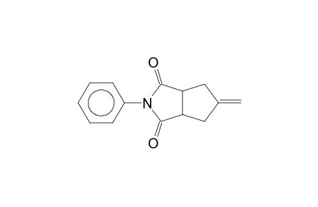 5-Methylene-2-phenyltetrahydrocyclopenta[c]pyrrole-1,3(2H,3ah)-dione