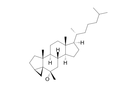 3-ALPHA,5-CYCLO-6-BETA-METHYL-5-ALPHA-CHOLESTAN-6-ALPHA-OL