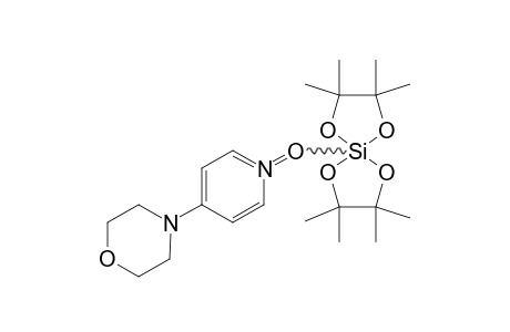 N-OXY-4-MORPHOLINO-PYRIDINIUM-BIS-(TETRAMETHYLETHYLENEDIOXY)-SILICONATE