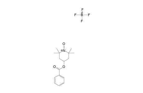 2,2,6,6-TETRAMETHYL-1-OXO-4-BENZOYL-PIPERIDINIUM_TETRAFLUOROBORATE