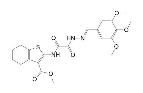 methyl 2-({oxo[(2E)-2-(3,4,5-trimethoxybenzylidene)hydrazino]acetyl}amino)-4,5,6,7-tetrahydro-1-benzothiophene-3-carboxylate