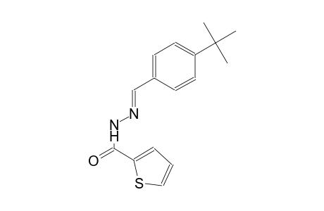 N'-[(E)-(4-tert-butylphenyl)methylidene]-2-thiophenecarbohydrazide