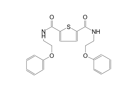N~2~,N~5~-bis(2-phenoxyethyl)-2,5-thiophenedicarboxamide