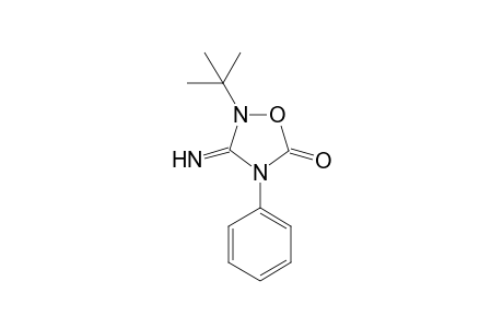 2-tert-Butyl-3-imino-4-phenyl-1,2,4-oxadiazolidin-5-one