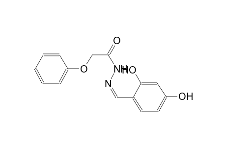 acetic acid, phenoxy-, 2-[(Z)-(2,4-dihydroxyphenyl)methylidene]hydrazide