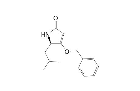 (2R)-2-(2-methylpropyl)-3-phenylmethoxy-1,2-dihydropyrrol-5-one