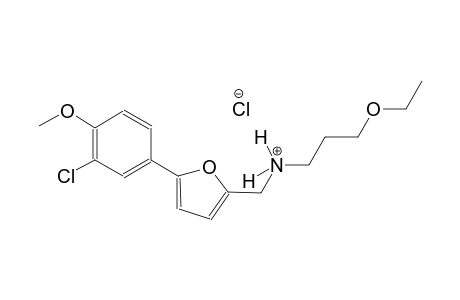 N-{[5-(3-chloro-4-methoxyphenyl)-2-furyl]methyl}-3-ethoxy-1-propanaminium chloride