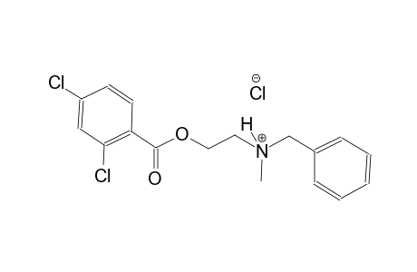 N-benzyl-2-[(2,4-dichlorobenzoyl)oxy]-N-methylethanaminium chloride