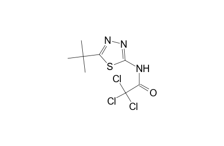 N-(5-tert-butyl-1,3,4-thiadiazol-2-yl)-2,2,2-trichloroacetamide