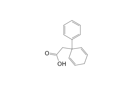 2-(1-phenyl-1-cyclohexa-2,5-dienyl)acetic acid