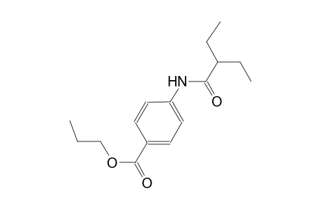 propyl 4-[(2-ethylbutanoyl)amino]benzoate