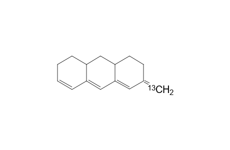 4,4a,5,6,10,10a-Hexahydro-2(3H)-13C-methylene-anthracene
