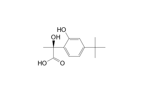 (2S)-2-hydroxy-2-(2-hydroxy-4-tert-butylphenyl)propanoic acid