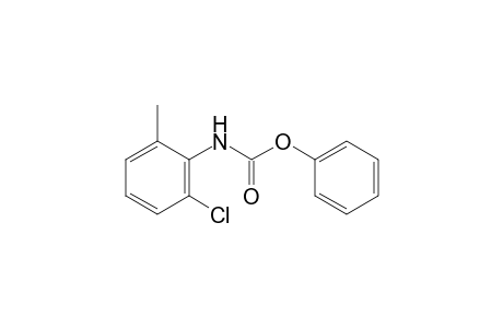 2-chloro-6-methylcarbanilic acid, phenyl ester