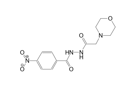 N'-(4-morpholinylacetyl)-4-nitrobenzohydrazide