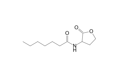 3-[Heptanoylamino]-tetrahydrofuran-2-one