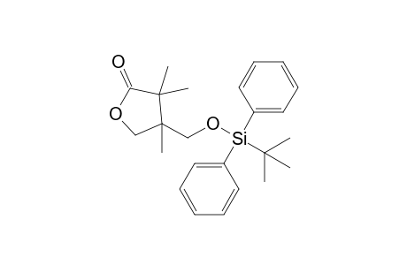 Dihydro-4-(tert-butyldiphenylsilyl)oxymethyl-3,3,4-trimethyl-2(3H)-furanone