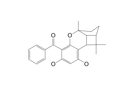 CLUSIACYCLOL-B