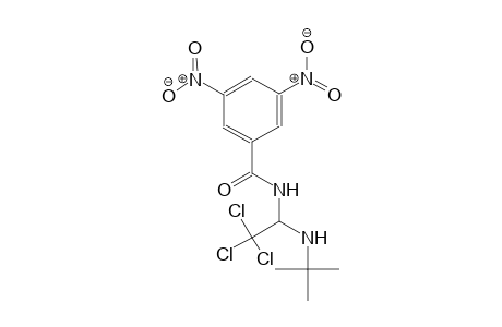 N-[1-(tert-butylamino)-2,2,2-trichloroethyl]-3,5-dinitrobenzamide