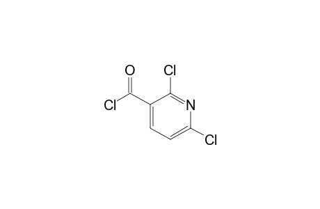 2,6-Dichloropyridine-3-carbonyl chloride