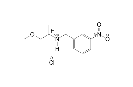1-methoxy-N-(3-nitrobenzyl)-2-propanaminium chloride