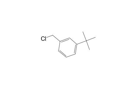 1-tert-Butyl-3-(chloromethyl)benzene