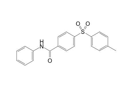 N-phenyl-4-tosylbenzamide