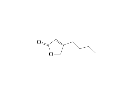 4-Butyl-3-methylfuran-2(5H)-one