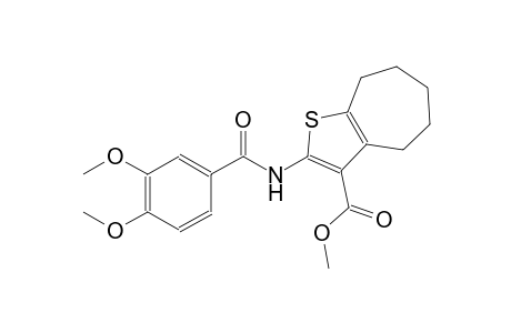 methyl 2-[(3,4-dimethoxybenzoyl)amino]-5,6,7,8-tetrahydro-4H-cyclohepta[b]thiophene-3-carboxylate