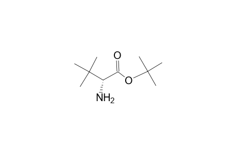 D-Valine, 3-methyl-, 1,1-dimethylethyl ester