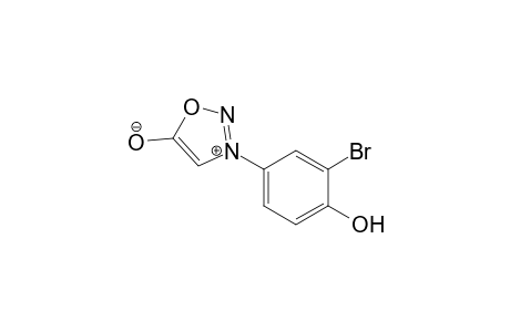 3-(4-Hydroxy-3-bromophenyl)sydnone