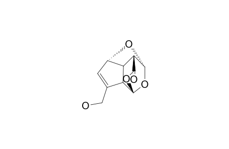 MACROPHYLLIDE