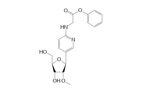 2-[N-(Phenoxyacetyl)amino)]-5-[2'-O-methyl-.beta.,D-ribofuranosyl]pyridine