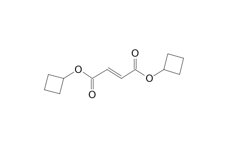 Fumaric acid, dicyclobutyl ester