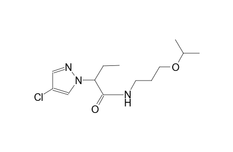2-(4-chloro-1H-pyrazol-1-yl)-N-(3-isopropoxypropyl)butanamide