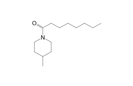 N-Octanoyl-4-methylpiperidine