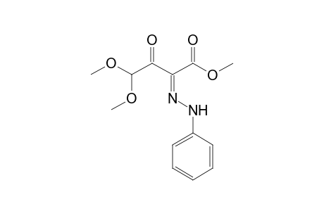 (2Z)-3-keto-4,4-dimethoxy-2-(phenylhydrazono)butyric acid methyl ester