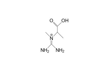 2,N-Dimethyl-glycocyamine cation