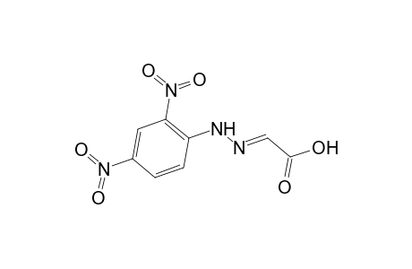 (2E)-2-[(2,4-dinitrophenyl)hydrazinylidene]acetic acid