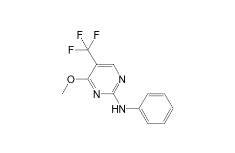 2-phenylamino-4-methoxy-5-(trifluoromethyl)pyrimidine