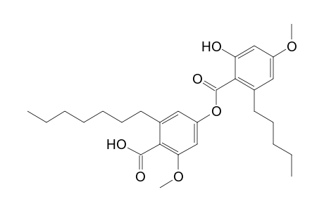 2'-O-Methylhyperlatolic Acid